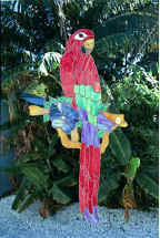 Green Winged Macaw.jpg (26968 bytes)