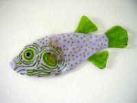 Stars & Stripe Pufferfish.jpg (154490 bytes)
